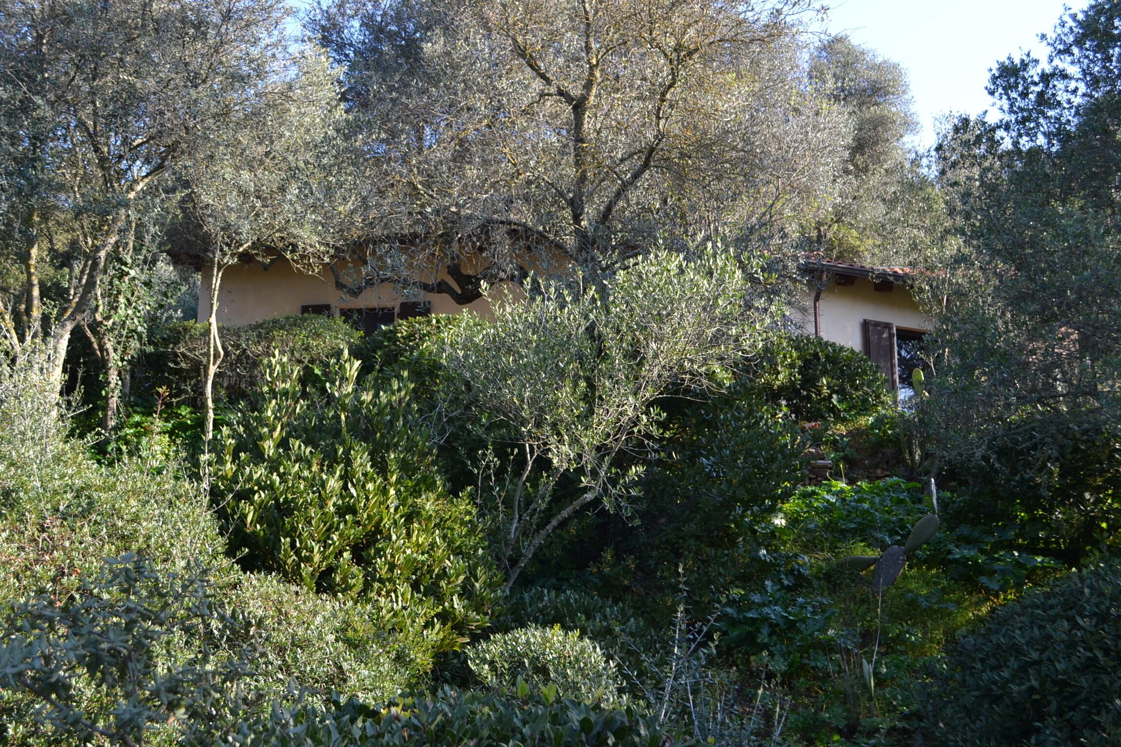 Áreas de la propiedad