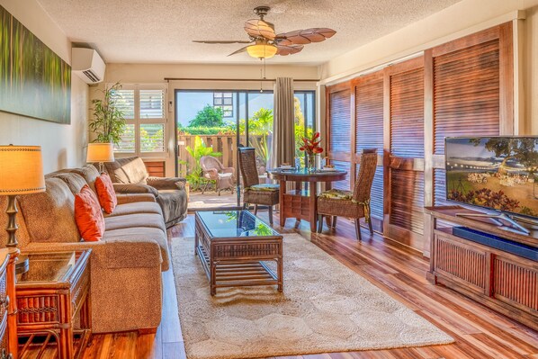 Téléviseur, lecteur de DVD, livres