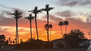 A sunset with palm trees silhouetted against the sky. - Remodeled quiet and spacious home. (Blythe)