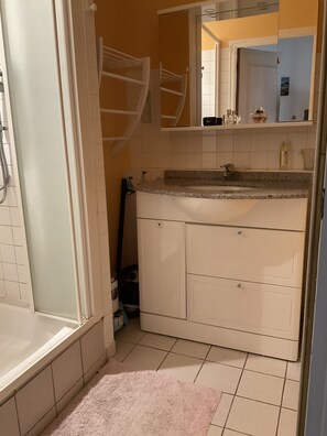 Shower, hair dryer, soap, toilet paper
