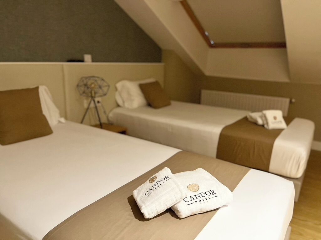 Dos camas individuales en una habitación de hotel con ventilador de techo y radiador.