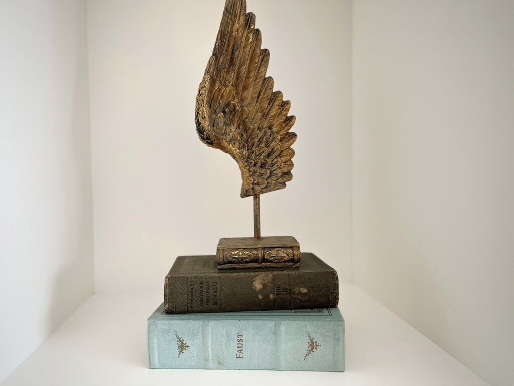 Una escultura d'una ala sobre dos llibres apilats.
