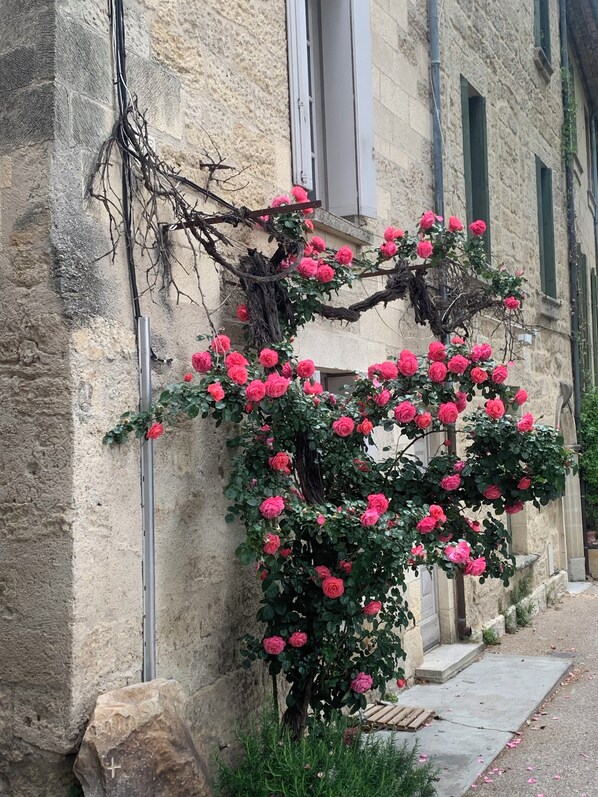 Détail de l’extérieur