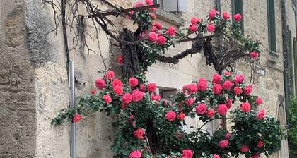 Air-conditioned gîte: a swimming pool just for you, superb view of the Cévennes
