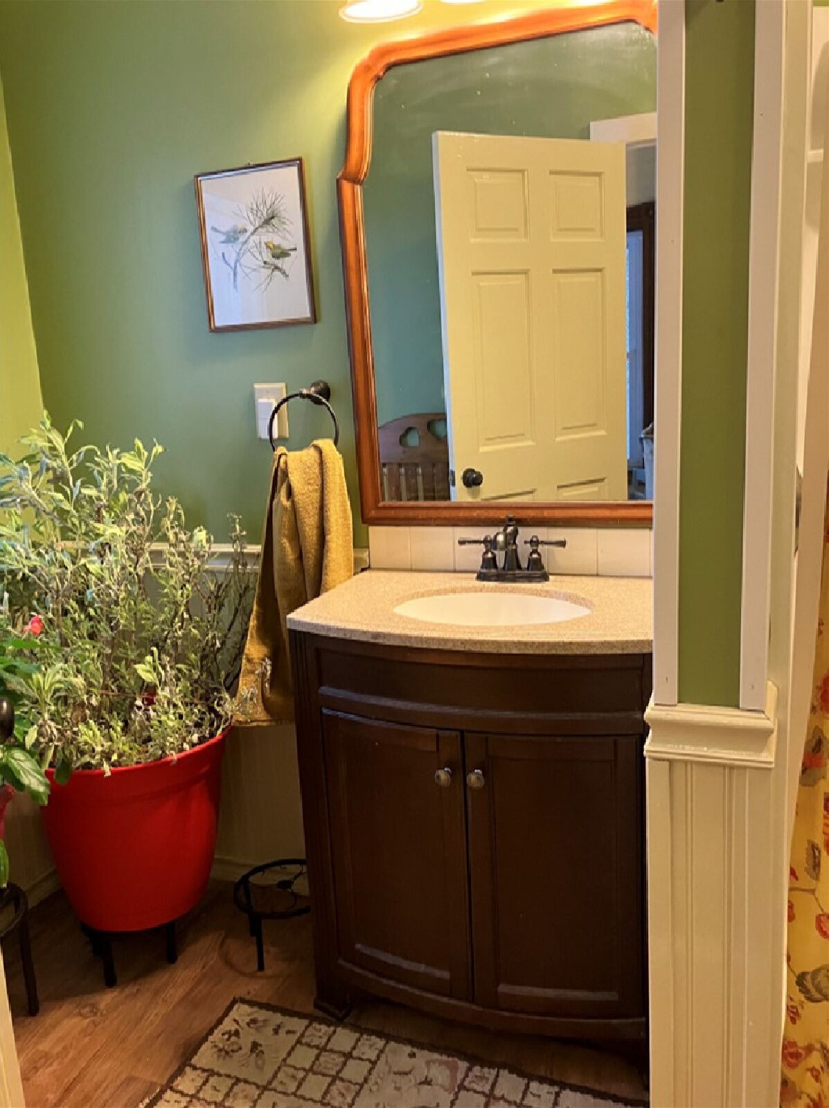 Une salle de bain avec un lavabo, un miroir et une plante en pot.