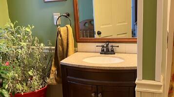 Une salle de bain avec un lavabo, un miroir et une plante en pot.