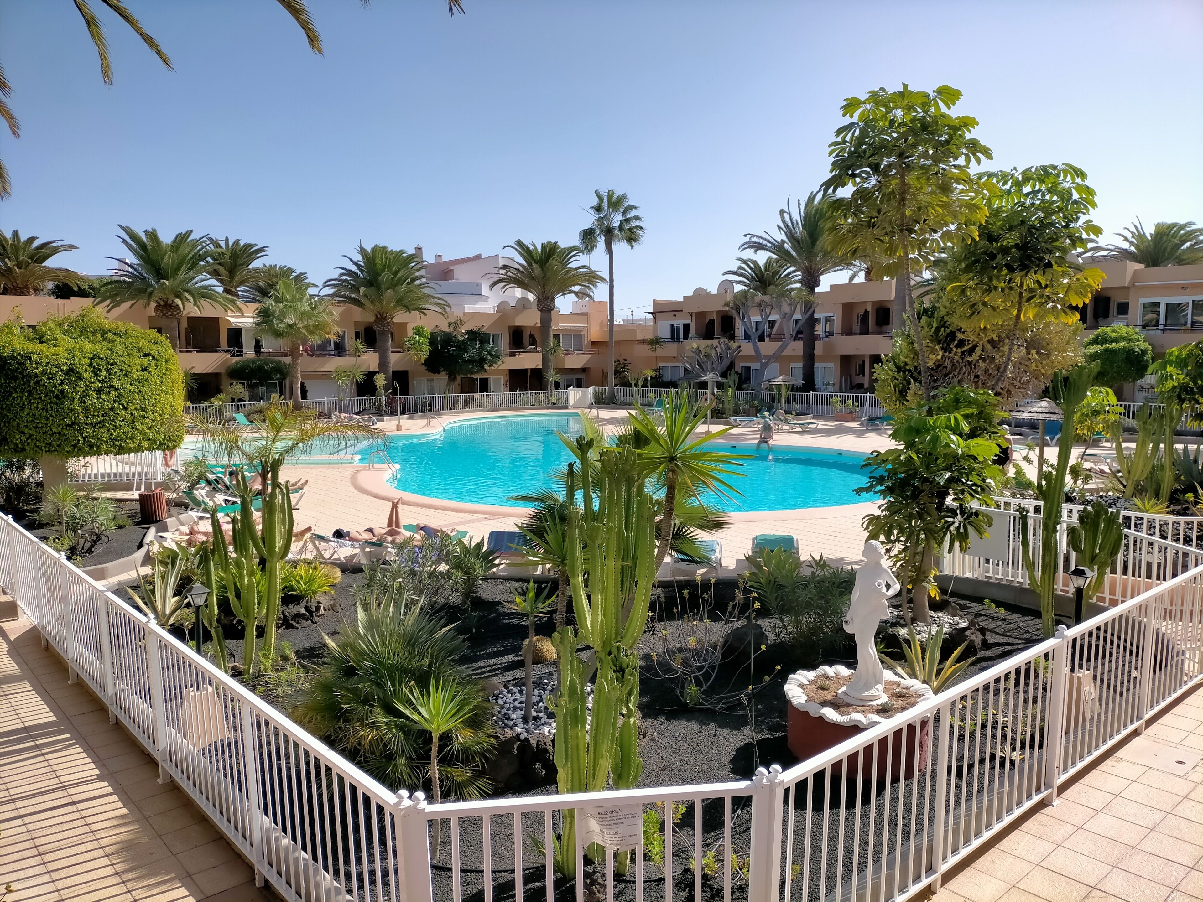 A pool area with a white fence, palm trees, and a clear blue sky.