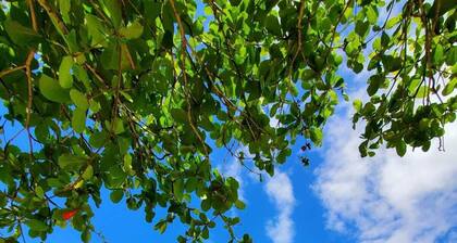 Casa Aljanna w/hot tube and beachfront