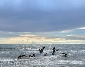 Familierom, 1 soverom | Utsikt fra rommet