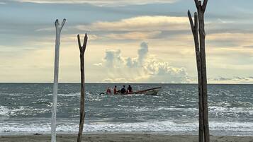 Playa en los alrededores y playa de arena negra
