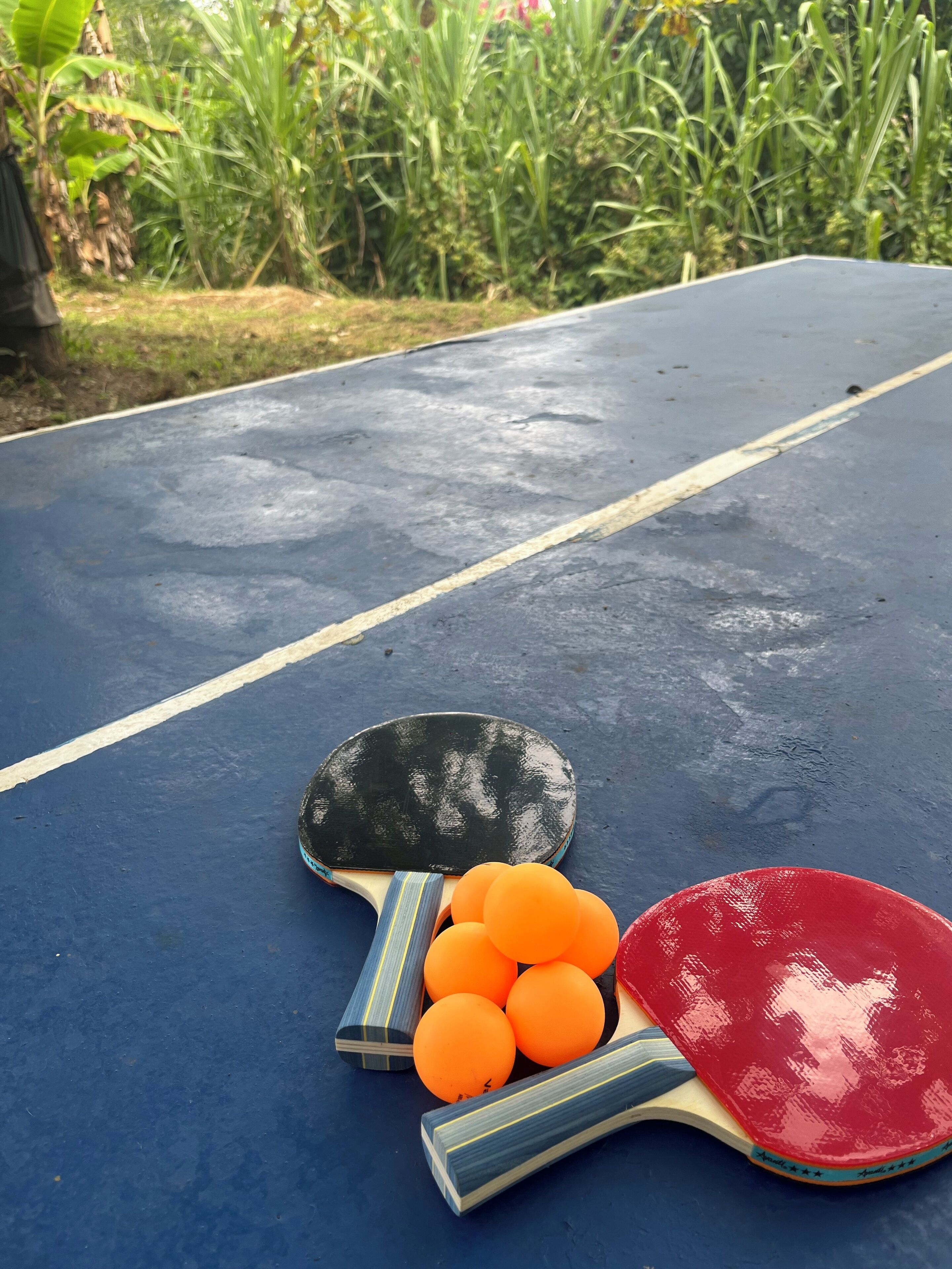 Una mesa de ping pong con dos palas y varias pelotas naranjas.