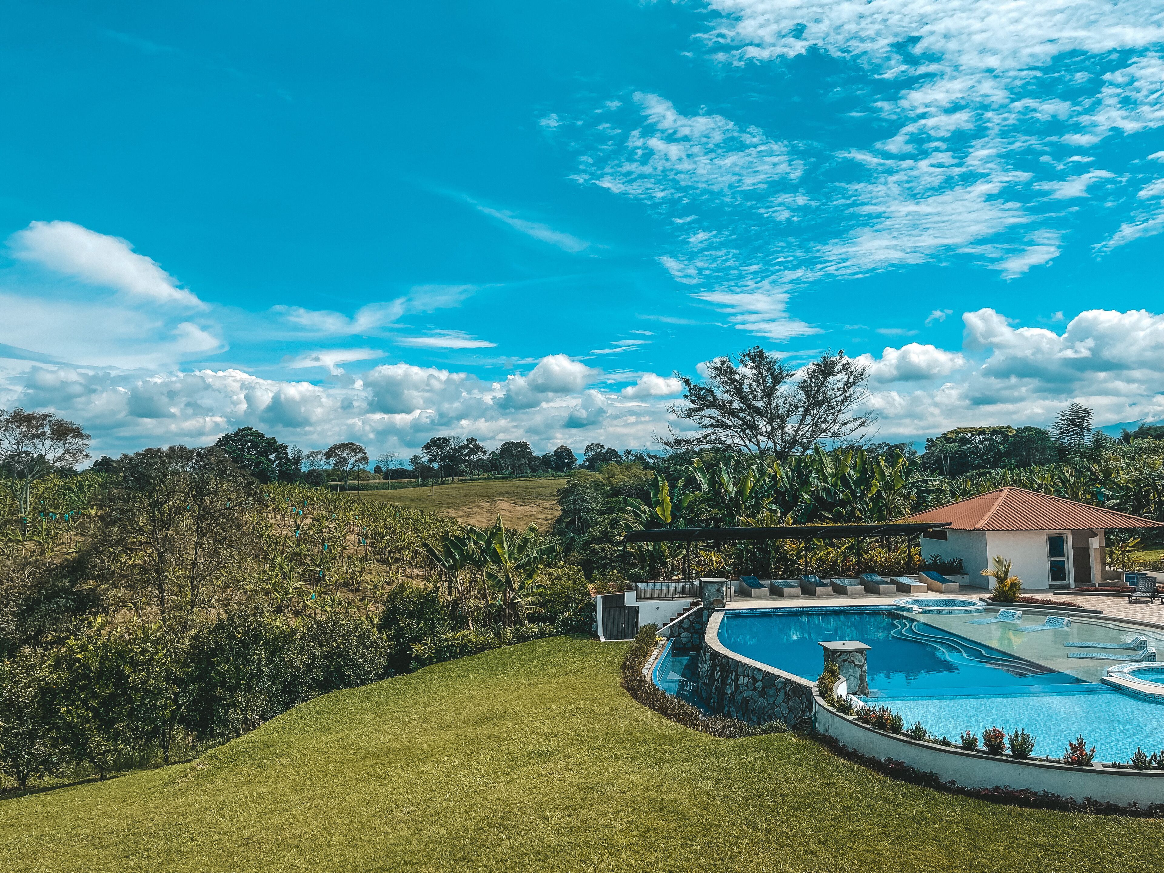 Un'ampia piscina a forma di curva con bordo in pietra, circondata da un prato curato e vegetazione tropicale.