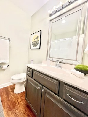 A bathroom with a white toilet, a vanity with a mirror, and a framed picture on the wall.