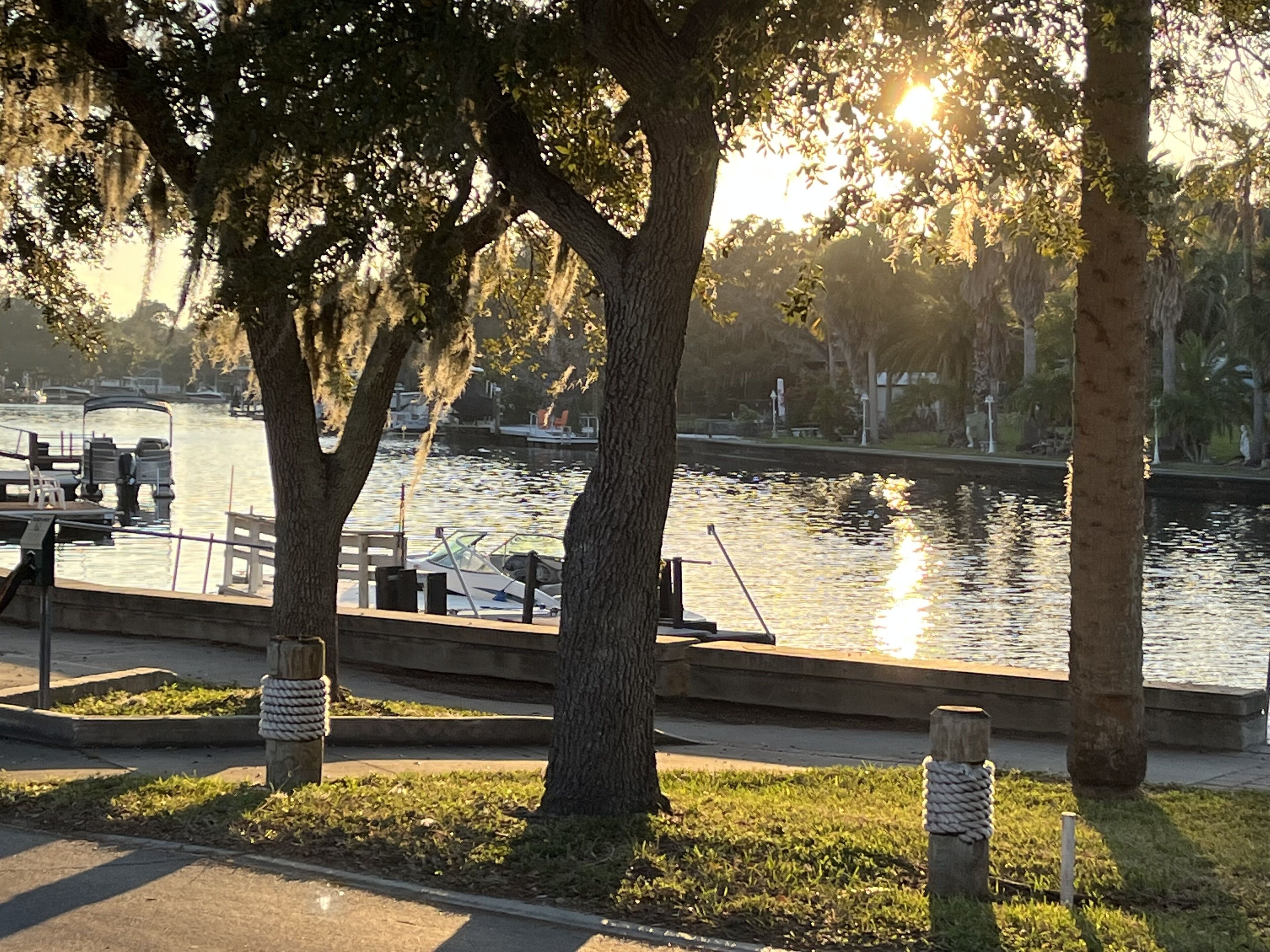 Un parc au bord de la rivière, avec des arbres, un quai et des bateaux.