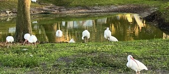 ❤️Take a stroll along the RIVERWALK PETS WELCOME🐩🐈 FISHING 🐠🐟ACROSS THE STREET