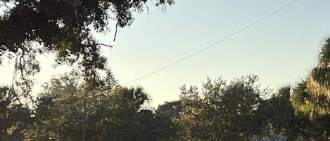A quiet suburban street with a sidewalk, grassy areas, and trees.