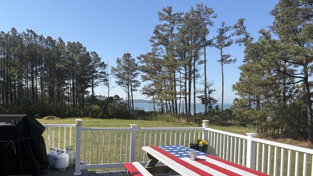 A deck with a picnic table painted with the American flag, surrounded by a white railing, overlooking a forested area and a body of water.