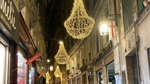 Une rue bordée de boutiques, un tapis de verdure et des guirlandes lumineuses suspendues.