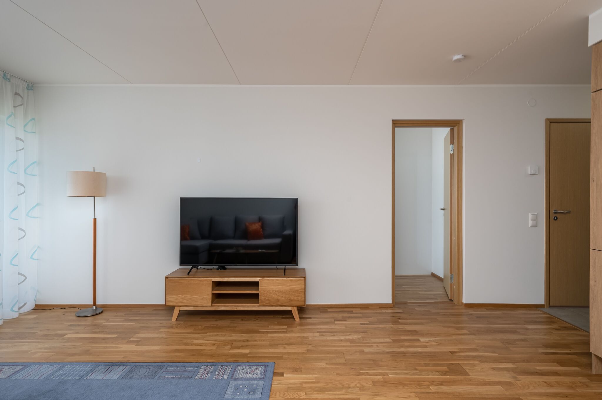 A modern living room with a flat-screen TV on a wooden stand, a floor lamp, and a patterned rug.