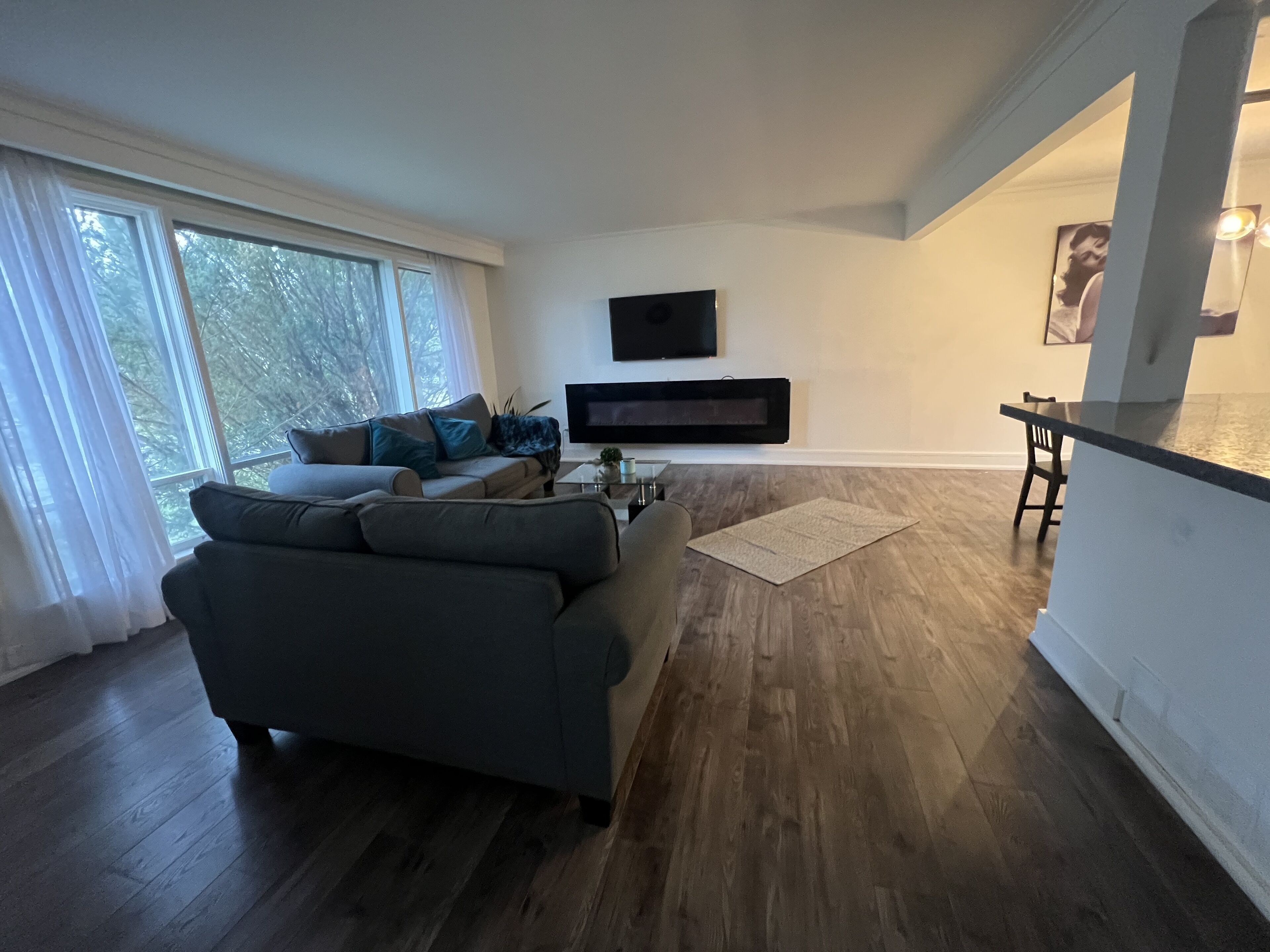 Smart TV, fireplace, video games