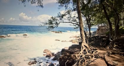 Beautiful Oceanfront Estate with heated saltwater pool, Hamakua Coast Acreage.