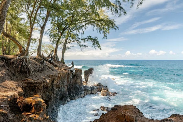 Oceanfront property. a great spot to watch seasonal whales.