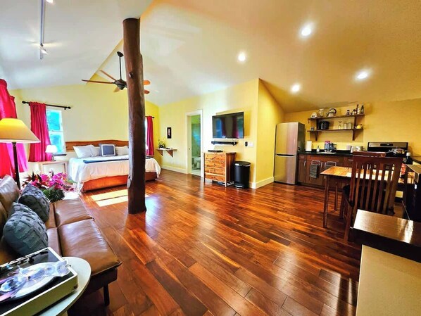 Smart TV, DVD player, video library, stereo