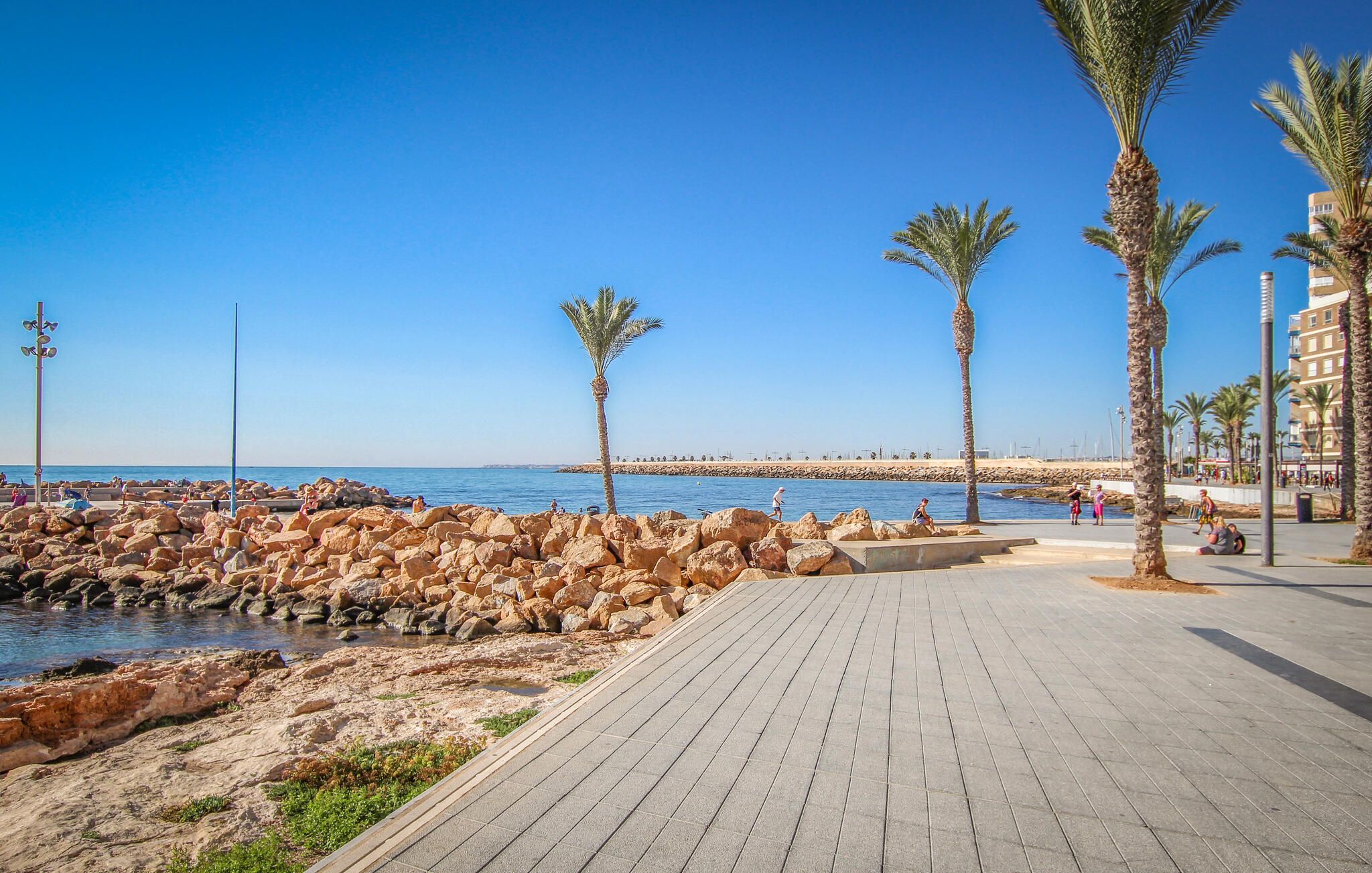 A paved walkway along a rocky shoreline with palm trees and a clear blue sky.