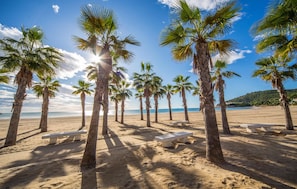 Una playa con palmeras y bancos.