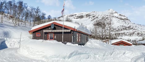 Ulkopuoli