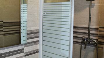 Shower, hair dryer, bidet, towels