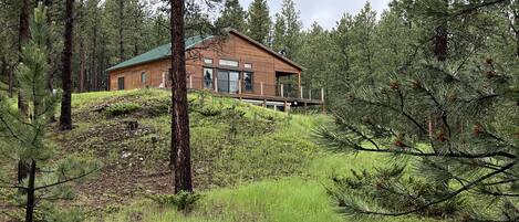 A cabin with a green roof, surrounded by tall pine trees and grassy terrain.