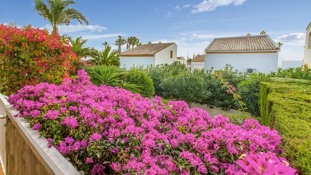 A white building with a tiled roof, surrounded by lush greenery and vibrant pink bougainvillea flowers.