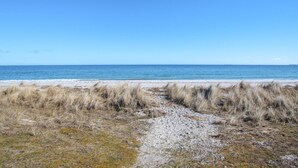En stig som leder från stranden ner till havet, med torrt gräs och småsten längs vägen.