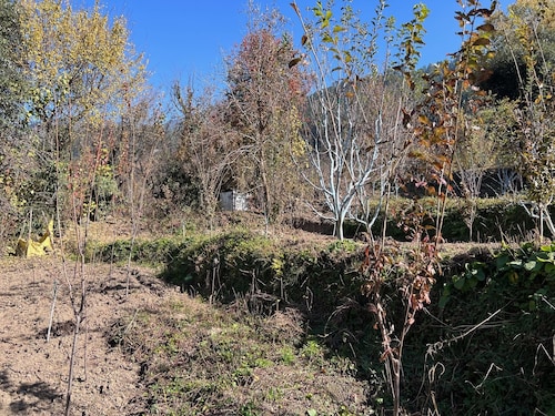 The Retreat - cozy cottage nestled in apple orchard with gorgeous mountain views