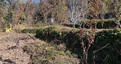 The Retreat - cozy cottage nestled in apple orchard with gorgeous mountain views