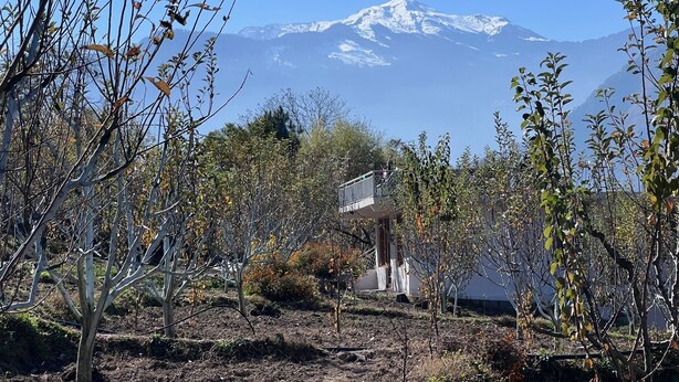 Ein Berg mit schneebedeckter Spitze im Hintergrund, umgeben von Bäumen und einem Gebäude mit Balkon.