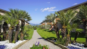 A pathway flanked by palm trees leading to a building with a view of mountains. - Beach front apartment (Manerba del Garda (BS))
