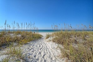A sandy beach path leading to the ocean, surrounded by tall grasses. - Luxurious House w/Private Pool steps to the Beach (Panama City Beach)