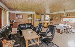 تلفزيون، مدفأة