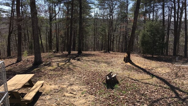 A forested campsite with a picnic table and a fire pit. - 3 BR Cabin in Bankhead Forest of North Alabama (Moulton)