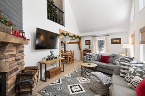 Smart TV, fireplace, books, music library