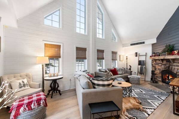 Smart TV, fireplace, books, music library