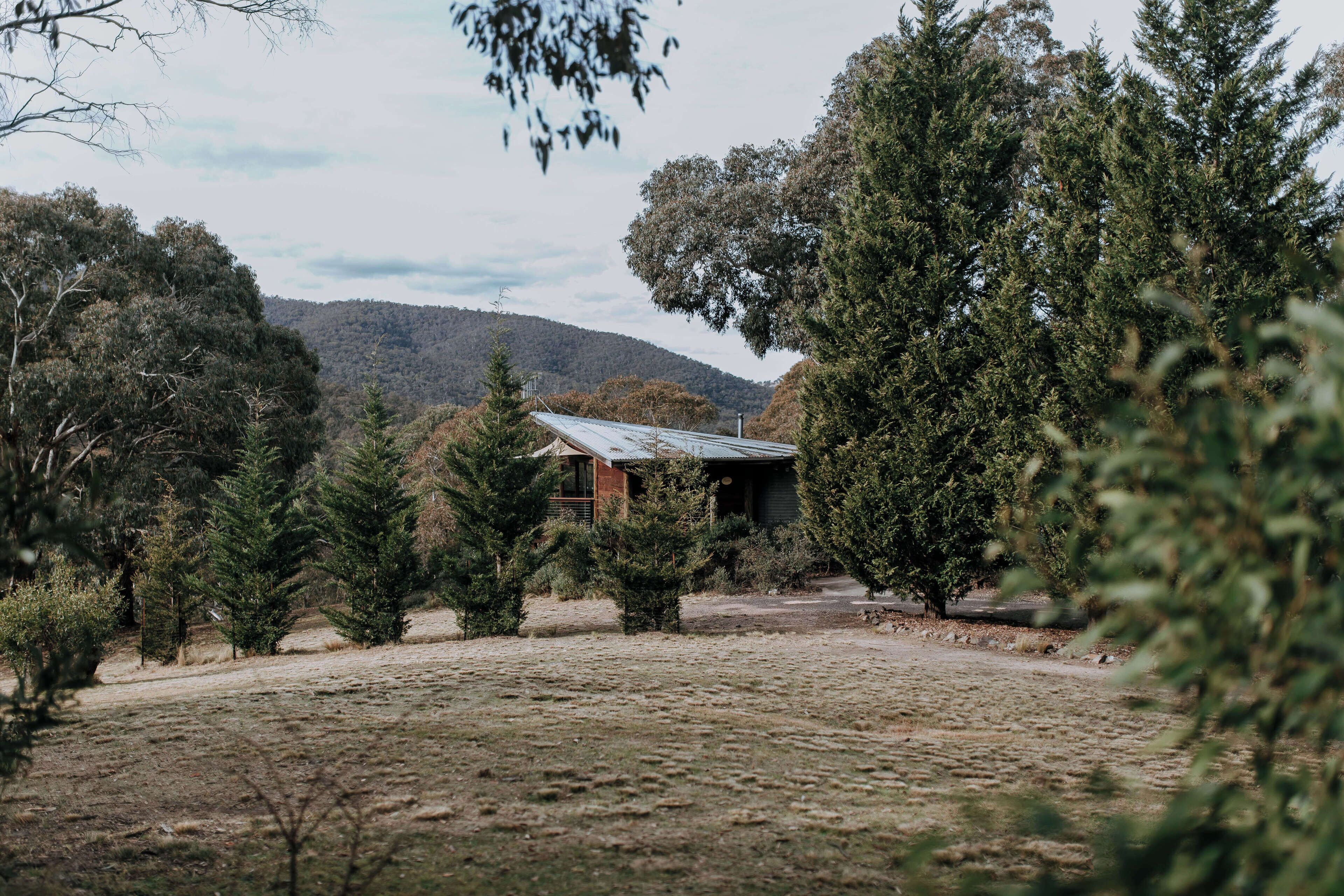 A rustic cabin surrounded by dense trees and a hilly landscape.