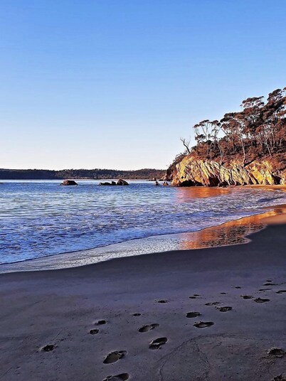 The Beach Retreat Eden - Pet Friendly accommodation in the centre of Eden