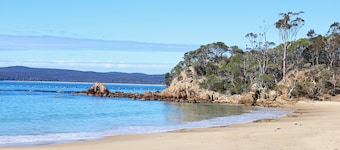 The Beach Retreat Eden - Pet Friendly accommodation in the centre of Eden