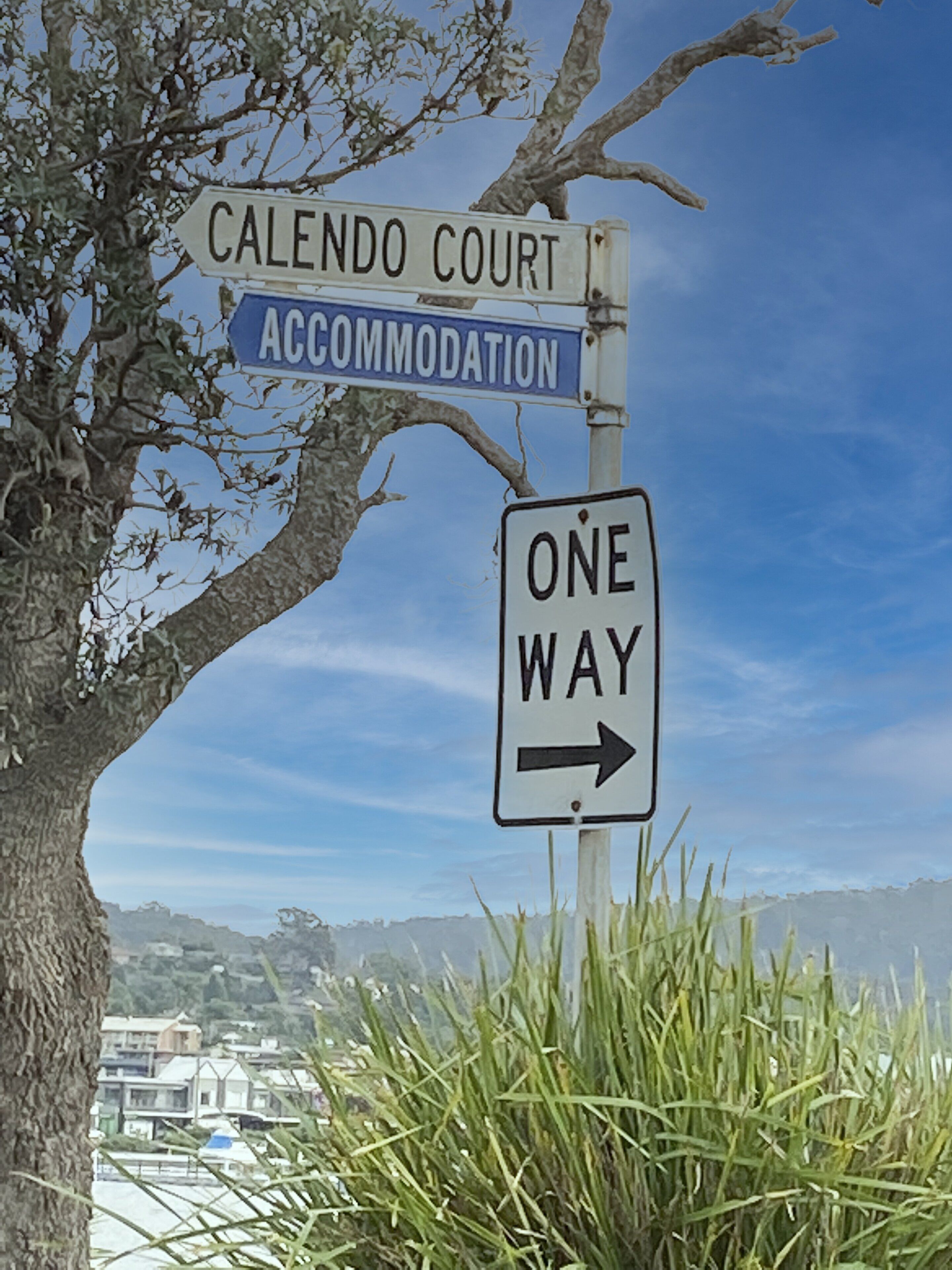 A street sign indicating 'Calendo Court' and 'Accommodation' with a 'One Way' sign pointing right.
