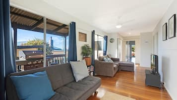 Una televisión, una chimenea, un reproductor de DVD