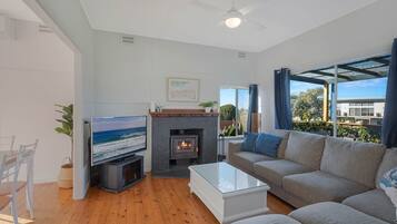 TV, fireplace, DVD player