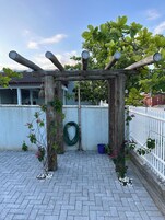 Studio Suite | Terrace/patio